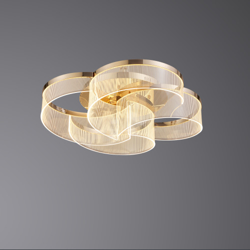 2042/800 F-gold
