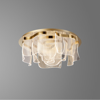 6020/D700 S-gold