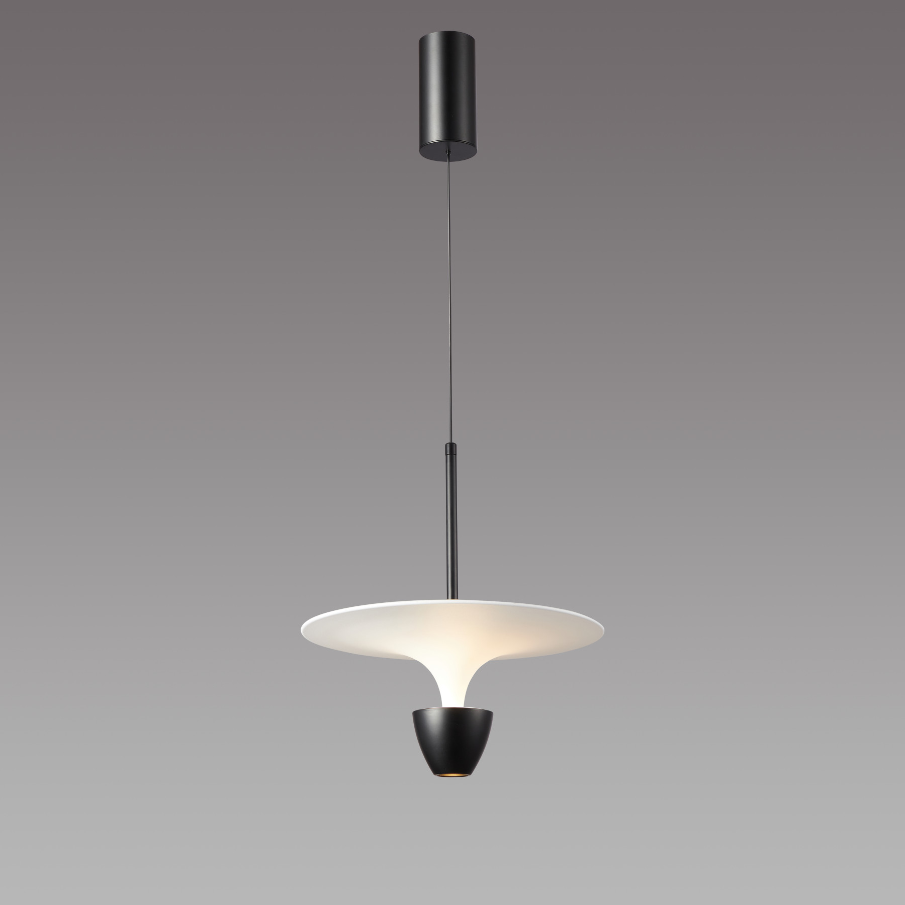 3009/1P Black